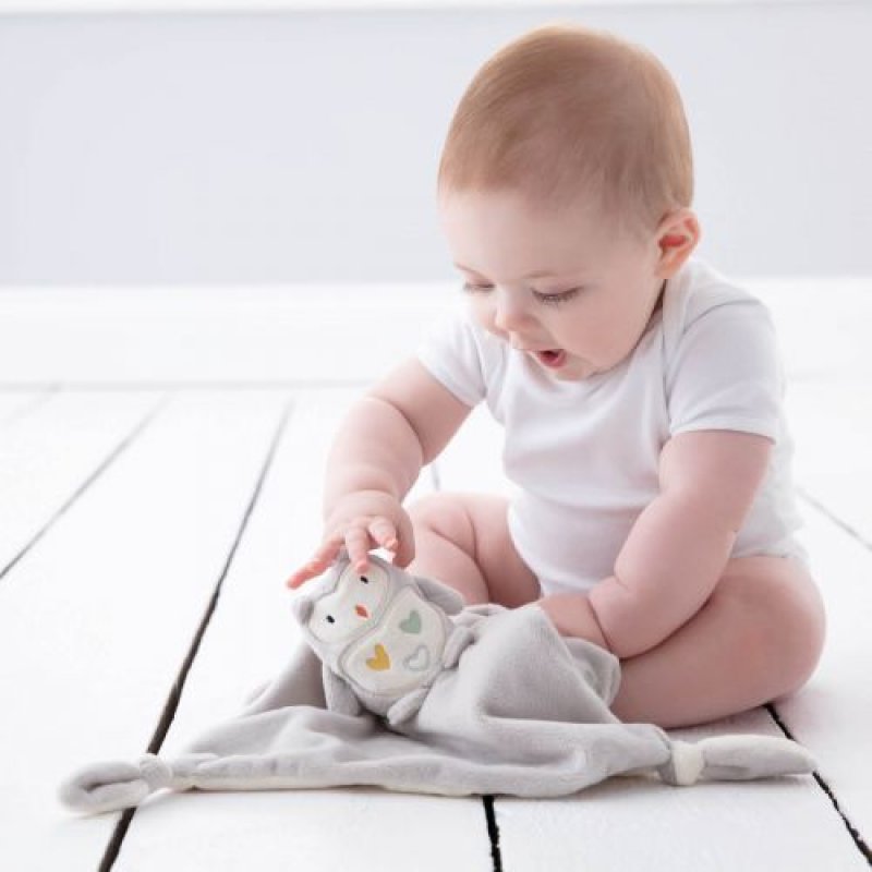 Gro Company  Πανάκι Παρηγοριάς Ollie the Owl Gro Comforter