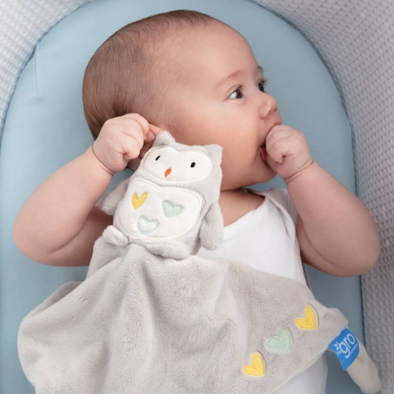 Gro Company  Πανάκι Παρηγοριάς Ollie the Owl Gro Comforter