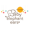 Baby Elephant Ear 