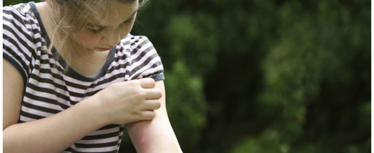 Παιδικά αντικουνούπικα & αντιηλιακά