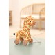 Gina the pull along giraffe