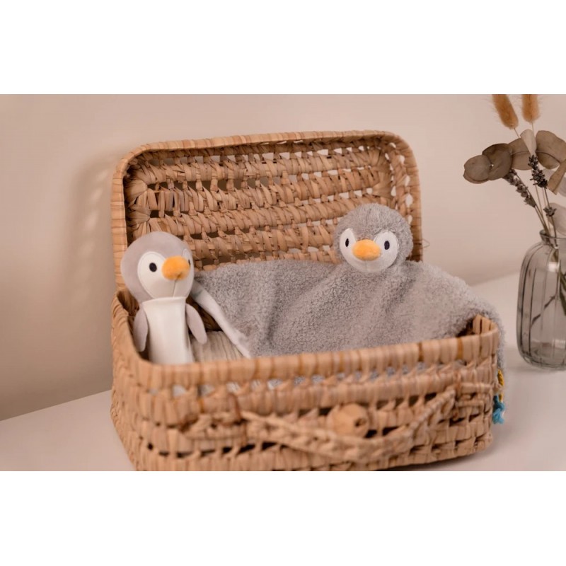 Βελούδινη Squeaker Κουδουνίστρα Ocean