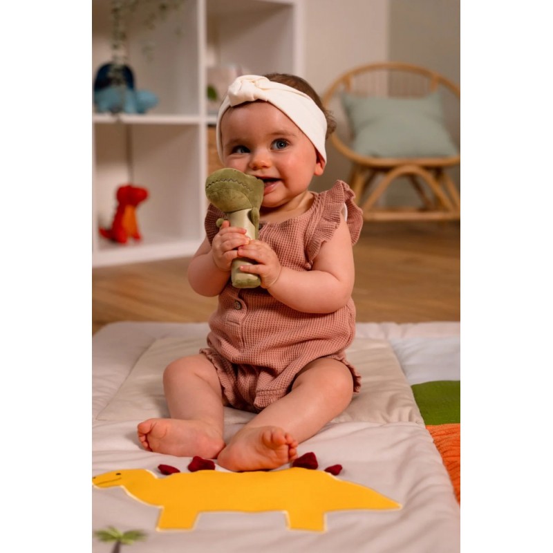 Βελούδινη Squeaker Κουδουνίστρα Dino