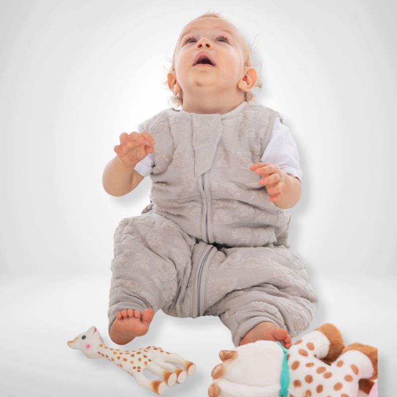 BabyBliss BlissJump Υπνόσακος 2.5 Tog Dreamy Zzz Grey