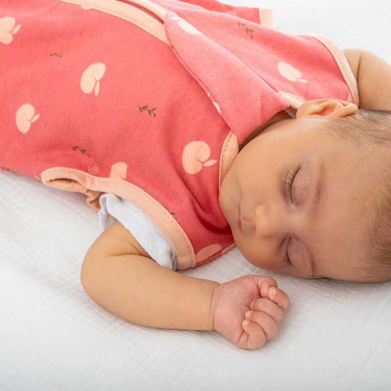 BabyBliss BlissSac Υπνόσακος 2.5 Tog Lovely Apples