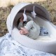 Bamboom Baby Nest Co-Sleeping Βρεφική Φωλιά Gray