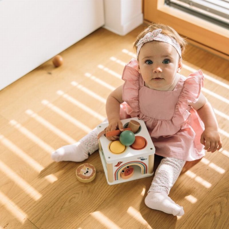 FreeON Free2Play Ξύλινος Κύβος Με Σχήματα Και Σφυρί Για 12+ Μηνών Hit the Ball