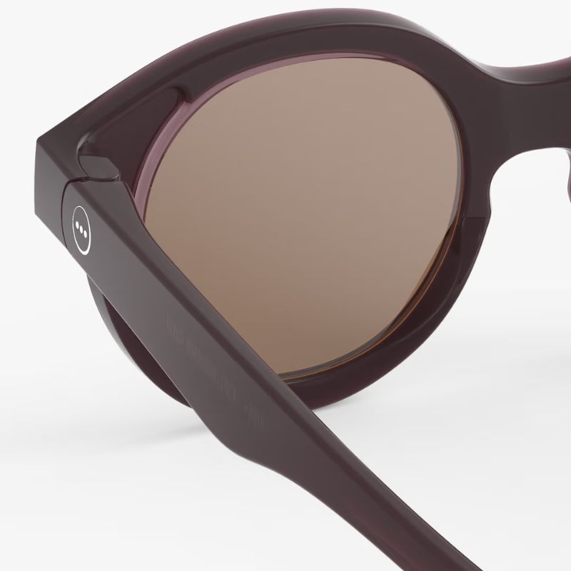 Izipizi Kids Plus Sun #c Γυαλιά Ηλίου 3-5 ετών Old Leather