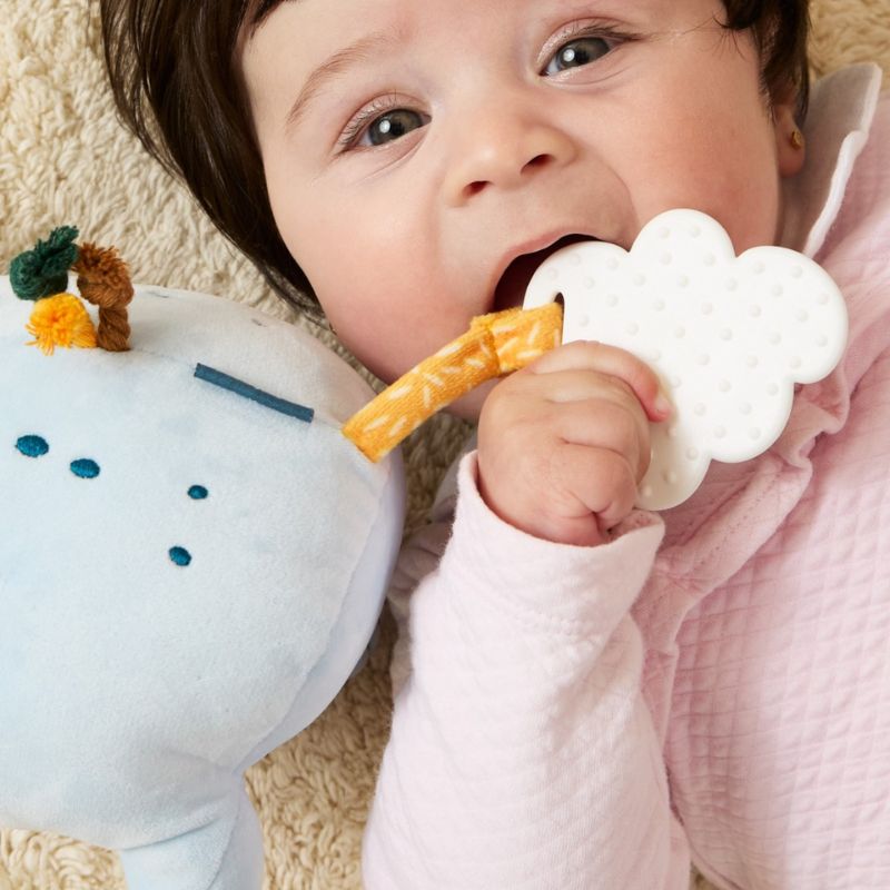 Miniland Λούτρινο Ζωάκι Για 0+ Μηνών Hanging Koala Plush