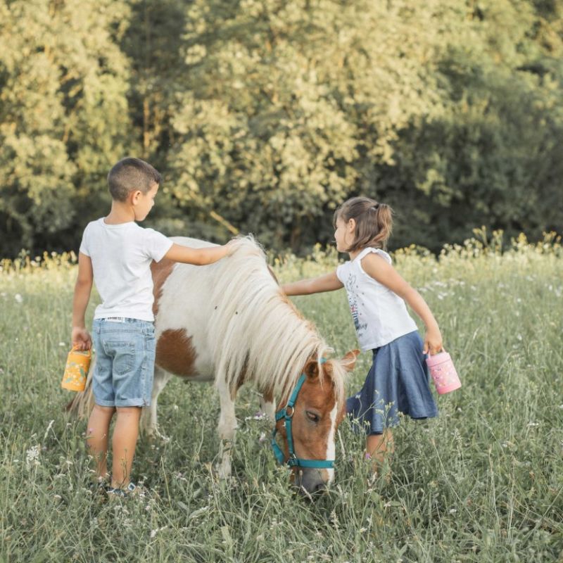 Sassi Θερμός Φαγητού Με Κουταλάκι και Χερούλι Για 12+ Μηνών 350ml ​​​​​​​Chompy the Lion
