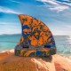 SwimFin Βοήθημα Κολύμβησης Για 18+ Μηνών Coral Splash