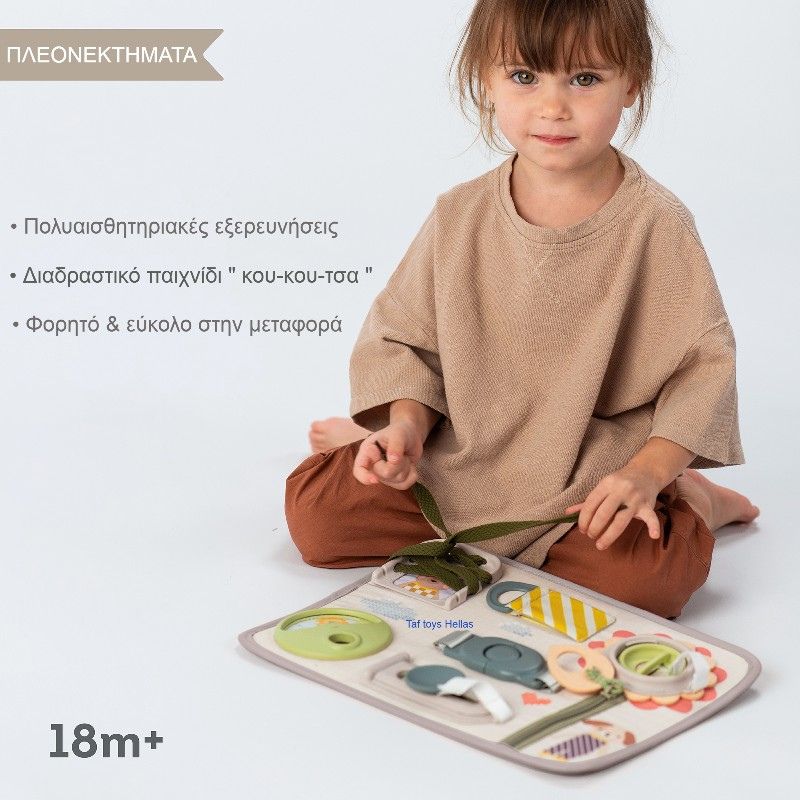 Taf Toys Βρεφικός Πίνακας Δραστηριοτήτων Για 18+ Μηνών Snap 'n Learn