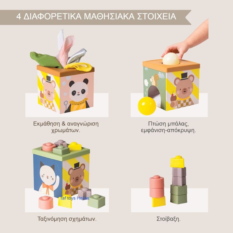 Taf Toys Βρεφικό Παιχνίδι Κύβος Για 6+ Μηνών Play & Discover