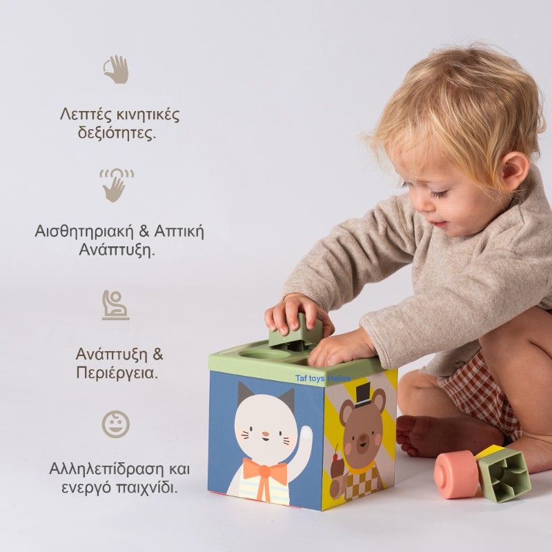 Taf Toys Βρεφικό Παιχνίδι Κύβος Για 6+ Μηνών Play & Discover