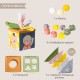 Taf Toys Βρεφικό Παιχνίδι Κύβος Για 6+ Μηνών Play & Discover