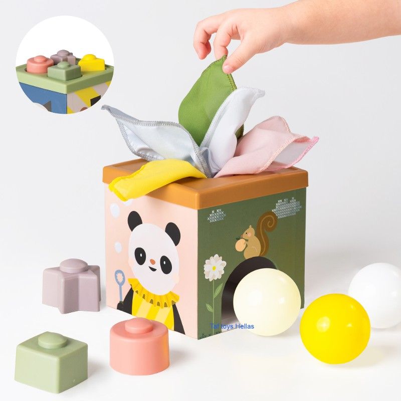 Taf Toys Βρεφικό Παιχνίδι Κύβος Για 6+ Μηνών Play & Discover