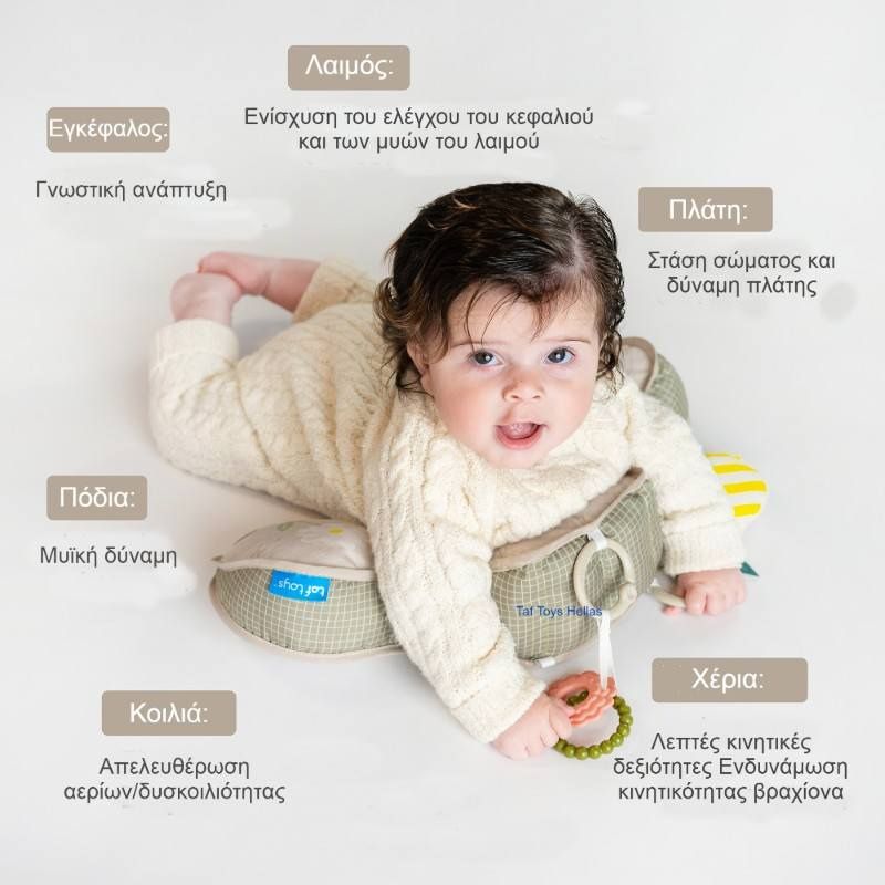 Taf Toys Βρεφικό Μαξιλάρι Για 0+ Μηνών Panda Tummy Time Pillow