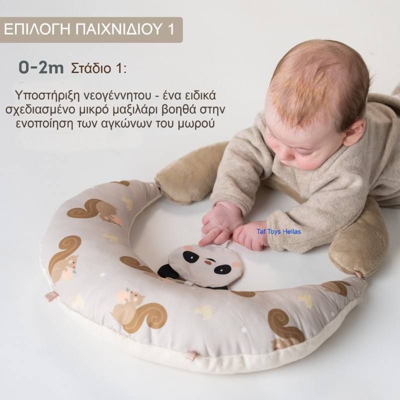 Taf Toys Βρεφικό Μαξιλάρι 2-Σε-1 Για 0+ Μηνών Tummy Time First