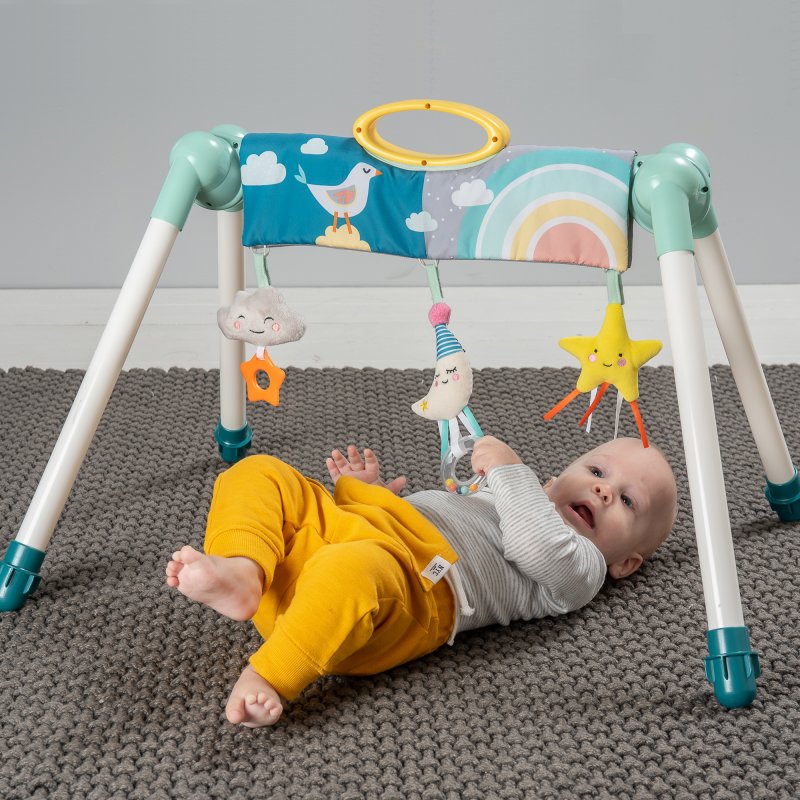 Taf Toys Γυμναστήριο Mini Moon Take to Play