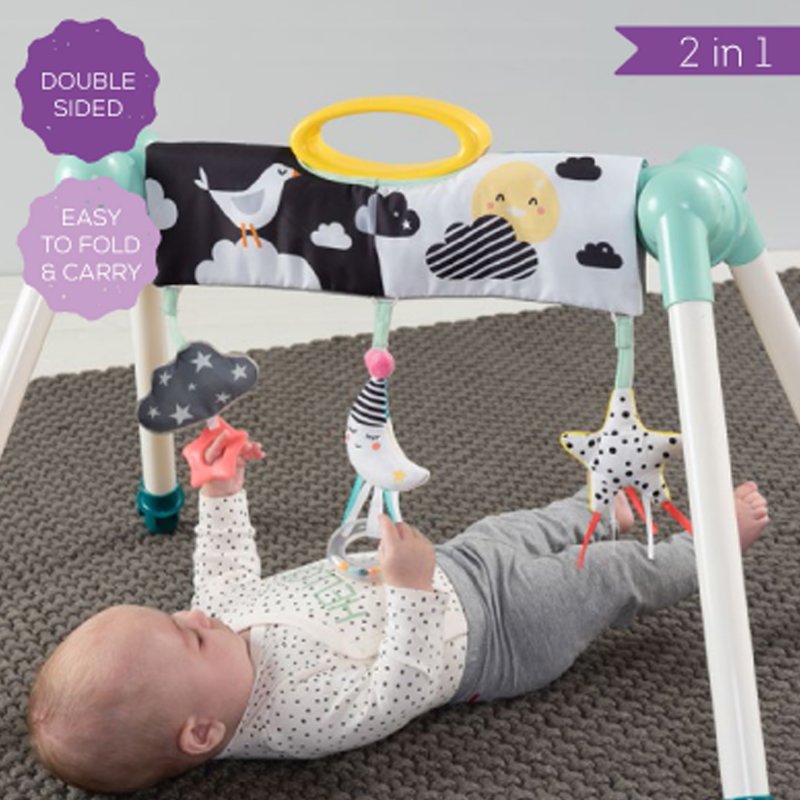 Taf Toys Γυμναστήριο Mini Moon Take to Play