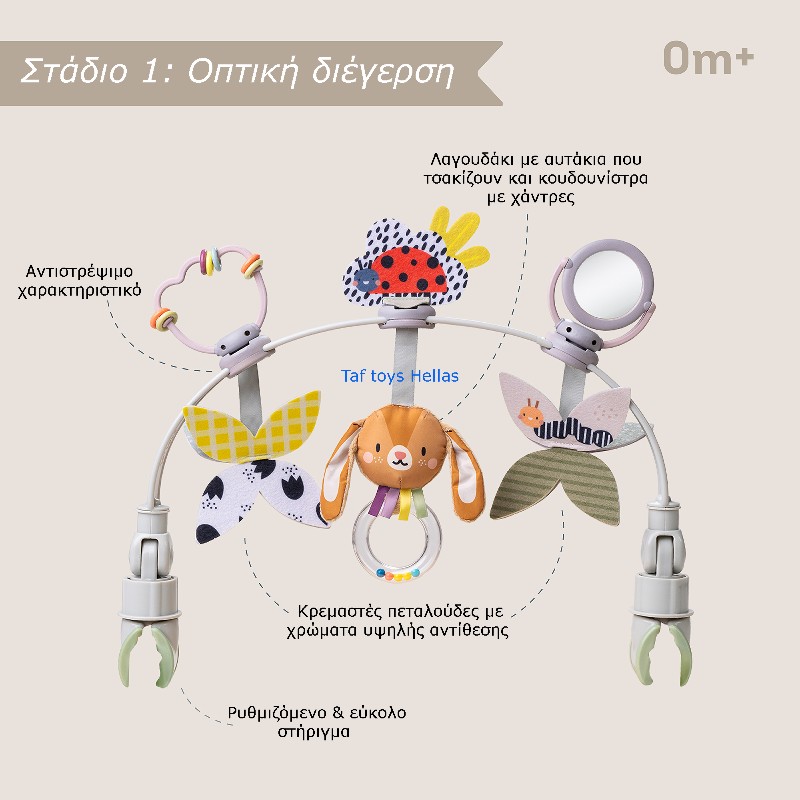 Taf Toys Grow With Me Activity Arch