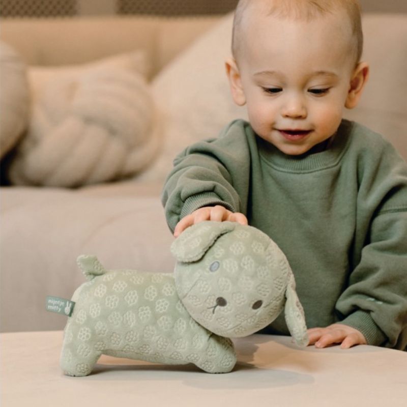 Miffy Βελουτέ Λούτρινο Σκυλάκι 25cm Green Flowers