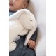 Doomoo SNOOGY BUNNY MILKY