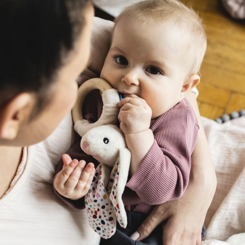 ΜΑΣΗΤΙΚΟ WHISBEAR ECO TEETHER BUNNY CREAM