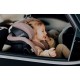 Lionelo Harmony i-Size κάθισμα αυτοκινήτου 40-150 cm isofix Beige Sand Bamboo
