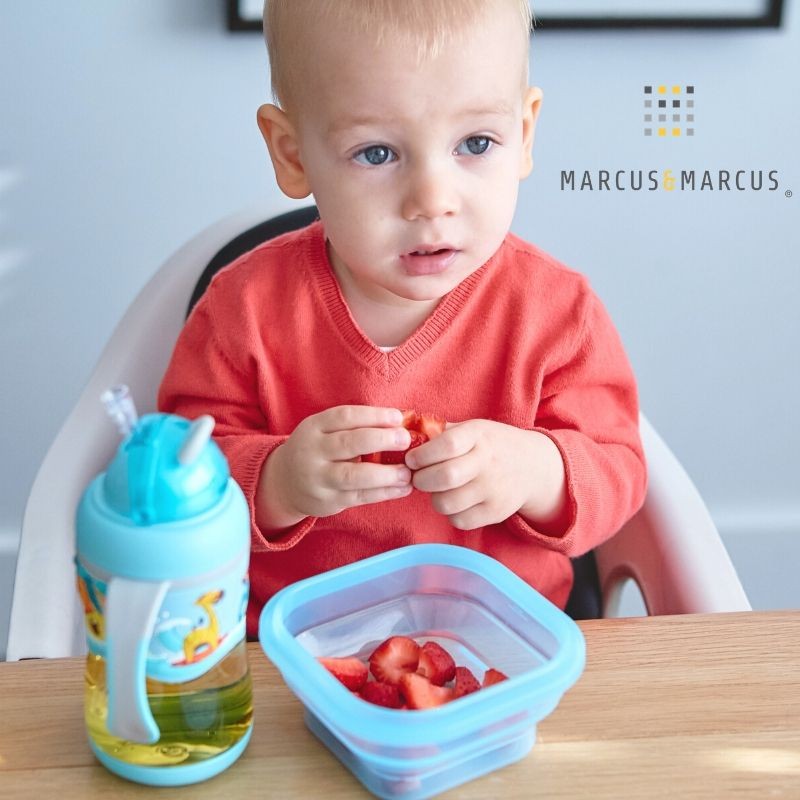 6m+ Μπολ Σιλικόνης Πτυσσόμενο με καπάκι Πράσινο Marcus & Marcus