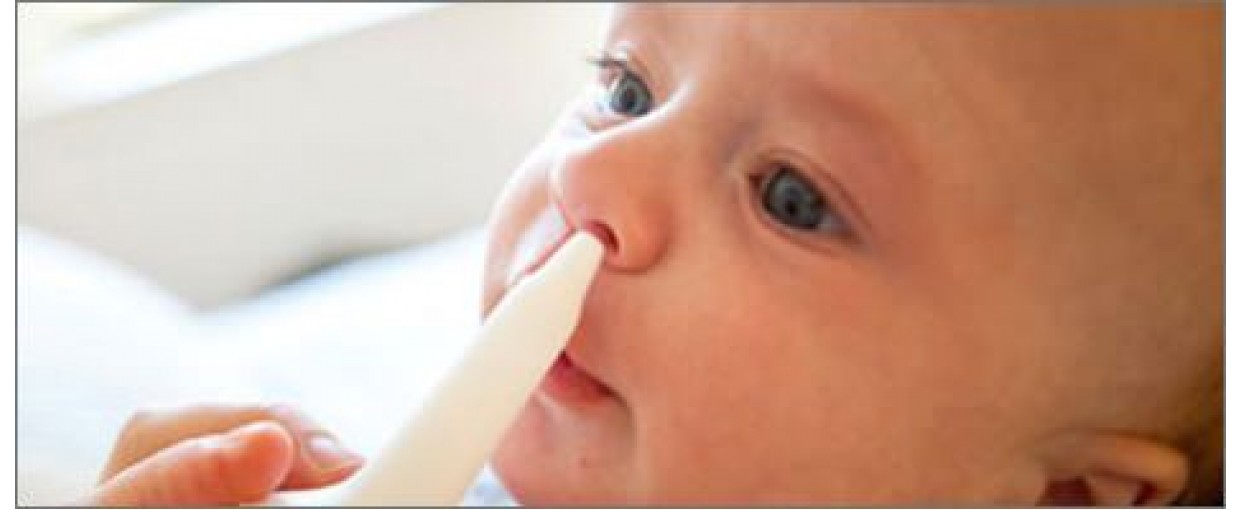 Αποφρακτήρες μύτης