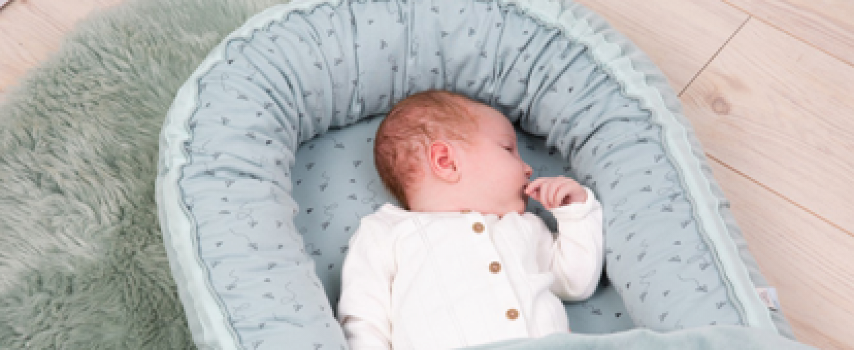 Βρεφικές Φωλιές