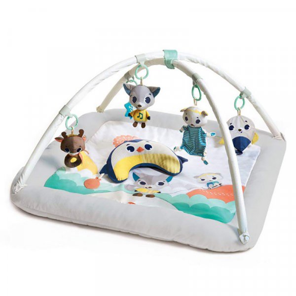 Tiny Love Εκπαιδευτικό Γυμναστήριο Plush Polar Wonders