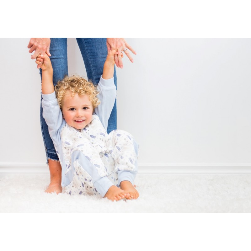 Lulujo Deluxe Υπνόσακος Koala 2.5 Tog Small 6-18 μηνών