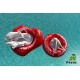 SWIMTRAINER PRO – Βοήθημα Κολύμβησης για Εφήβους (12+) & Ενήλικες