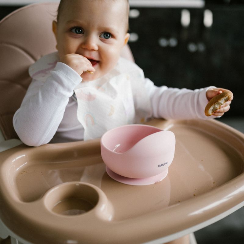 Babyono Σιλικονούχο Μπολ Με Βεντούζα Pink