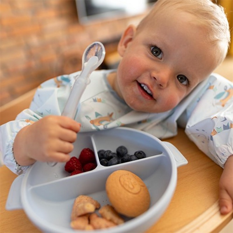 BabyOno: Πιάτο σιλικόνης με 3 θέσεις, καπάκι & βάση με βεντούζα - Μπλε