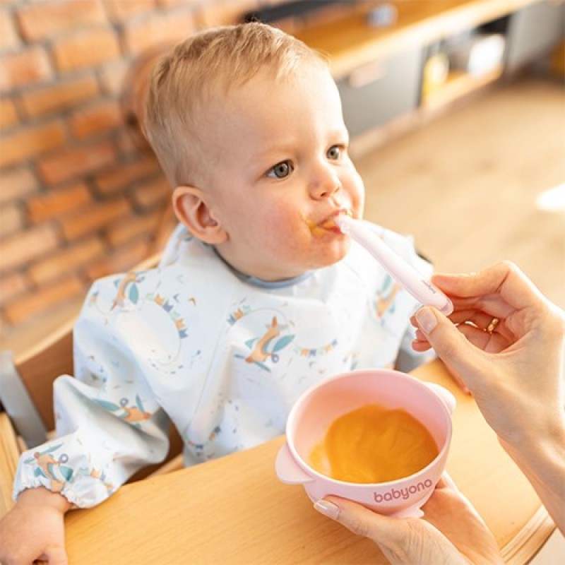 BabyOno: Μπολ σιλικόνης με λαβές, καπάκι & βάση με βεντούζα - Ροζ