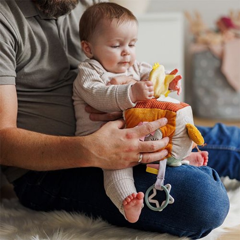 BabyOno: Εκπαιδευτικός Κύβος Δραστηριοτήτων - Nature