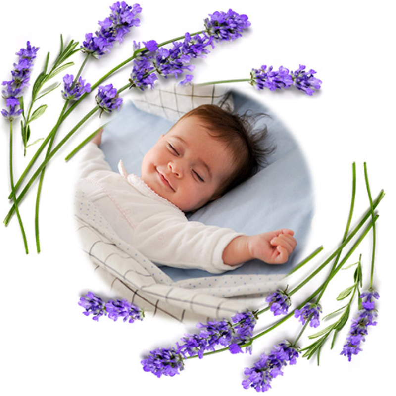 Babyono Φυσική Θερμοφόρα Με Κουκούτσια Από Κεράσια Και Λεβάντα Pink