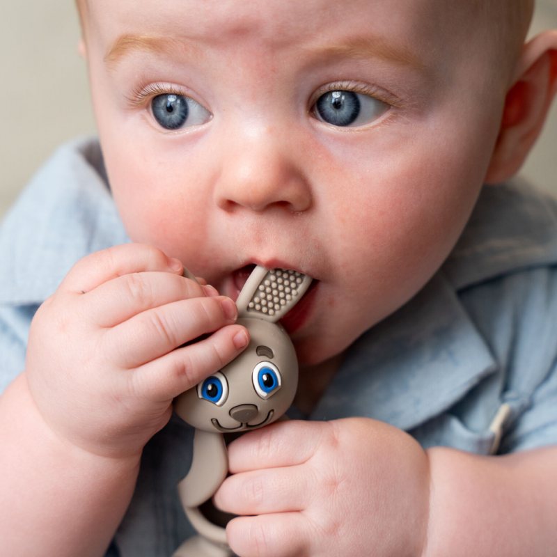 Brush-Baby:  Μασητικό ιδανικό για την ανακούφιση της οδοντοφυΐας  0-3 ετών-Bobbie Bunny Cappucino