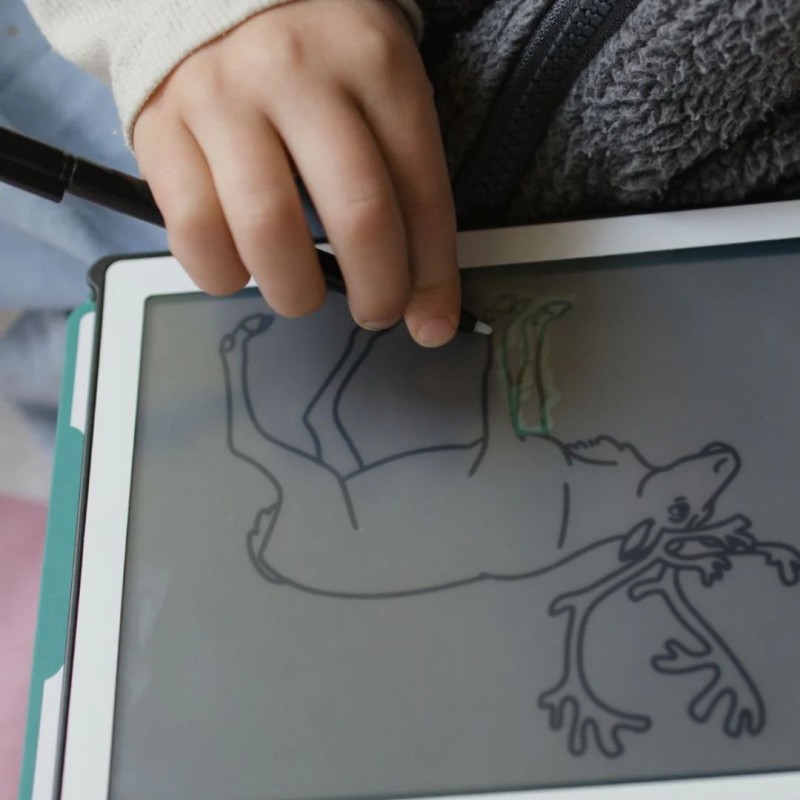 KIDYWOLF: Tablet ζωγραφικής με οθόνη LCD (30 κάρτες)- Animals Around The World