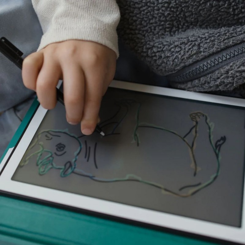 KIDYWOLF: Tablet ζωγραφικής με οθόνη LCD (30 κάρτες)- Animals Around The World