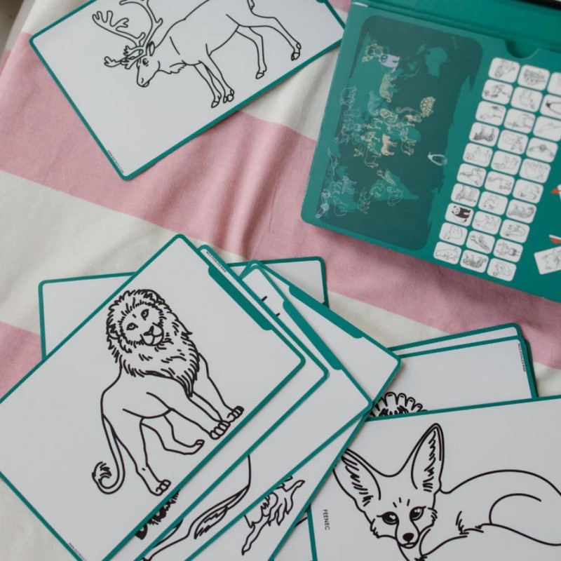 KIDYWOLF: Tablet ζωγραφικής με οθόνη LCD (30 κάρτες)- Animals Around The World