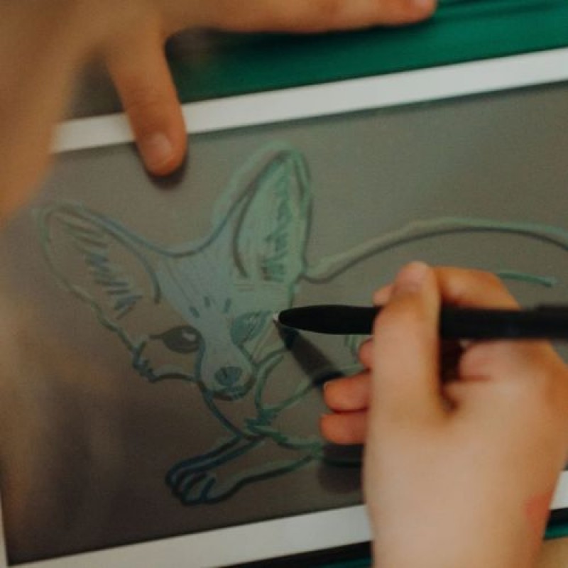 KIDYWOLF: 60 κάρτες για τα Mini Tablet ζωγραφικής με θέμα "Animals Around the World" & "Oceans and Pirates"