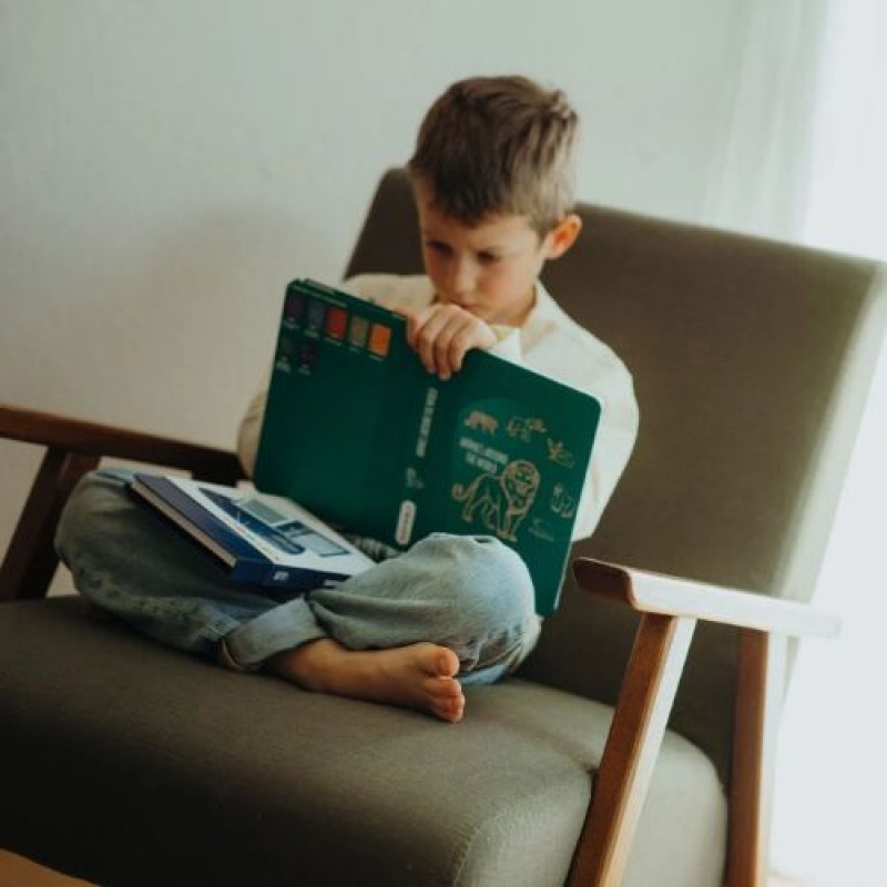 KIDYWOLF: 60 κάρτες για τα Mini Tablet ζωγραφικής με θέμα "Animals Around the World" & "Oceans and Pirates"