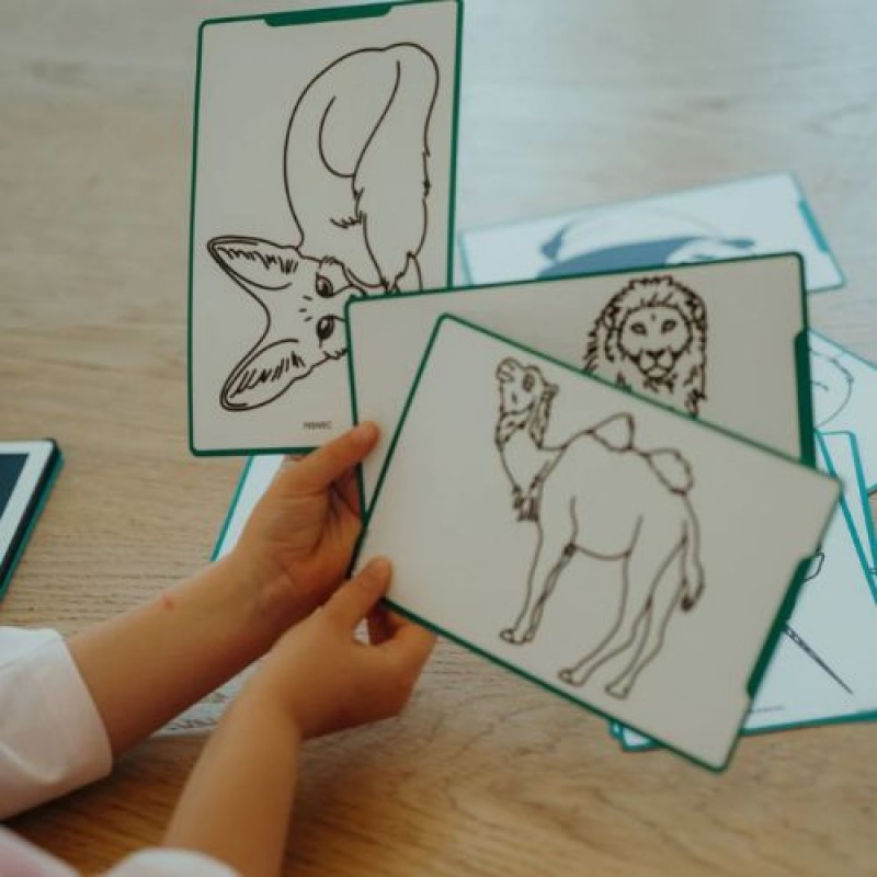 KIDYWOLF: 60 κάρτες για τα Mini Tablet ζωγραφικής με θέμα "Animals Around the World" & "Oceans and Pirates"