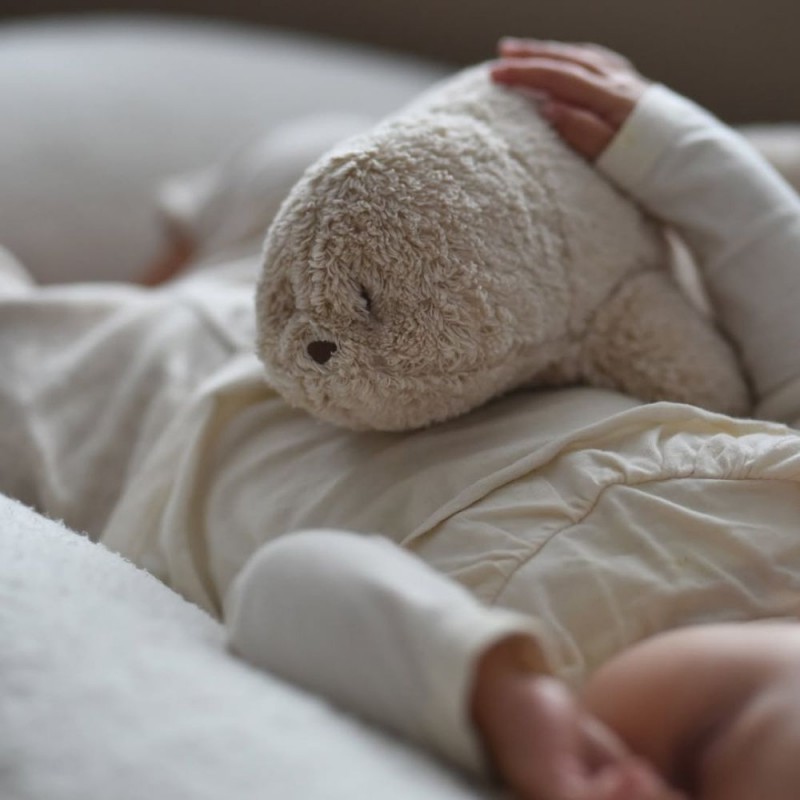 MOONIE 2.0: Επαναφορτιζόμενο βοήθημα ύπνου Φώκια με ηχογράφηση & αισθητήρα κλάματος – Οργανικό βαμβάκι Gray