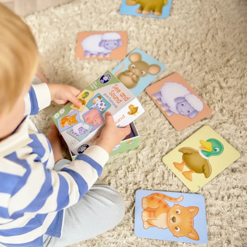 Orchard Toys Εκπαιδευτικές Κάρτες "Ζωάκια της Φάρμας & οι Ήχοι τους" για Παιδιά από  9+ μηνών