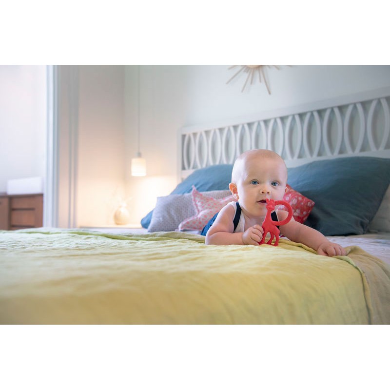 Σόφι καμηλοπάρδαλη Κρίκος οδοντοφυϊας Βανίλια Κόκκινο